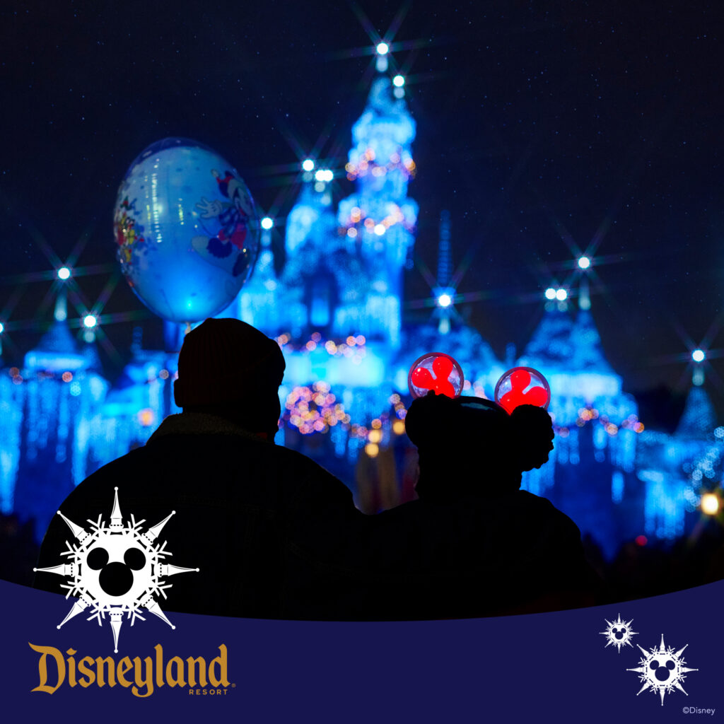 Disneyland Castle image