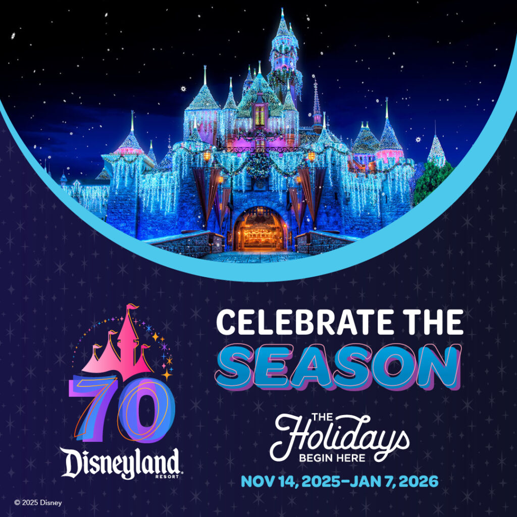 Disneyland Holiday banner