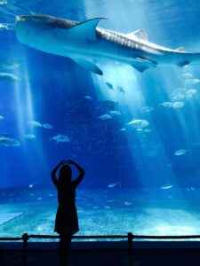 person standing in front of an aquarium 