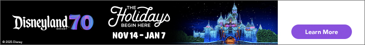 Disneyland Holidays ticket store banner