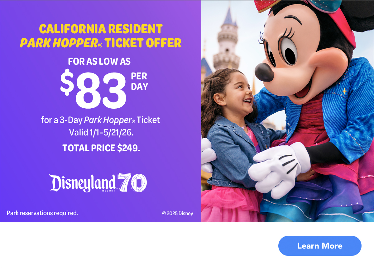 Disneyland Holiday Banner - click to buy tickets