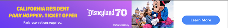 Disneyland Holidays Banner - click to get tickets