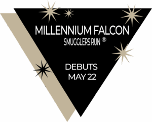 Millennium Falcon graphic