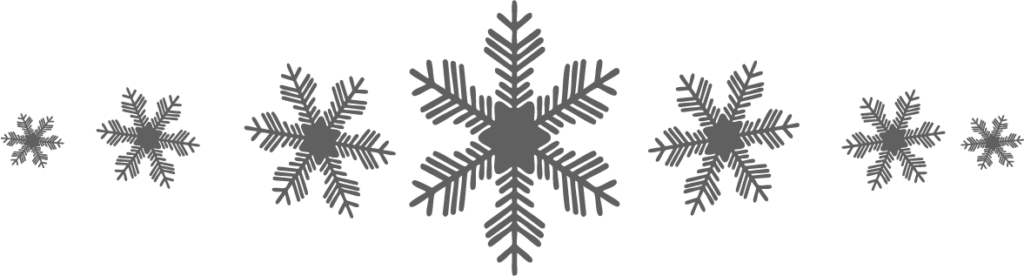 Graphic of snow flakes lined up in a row